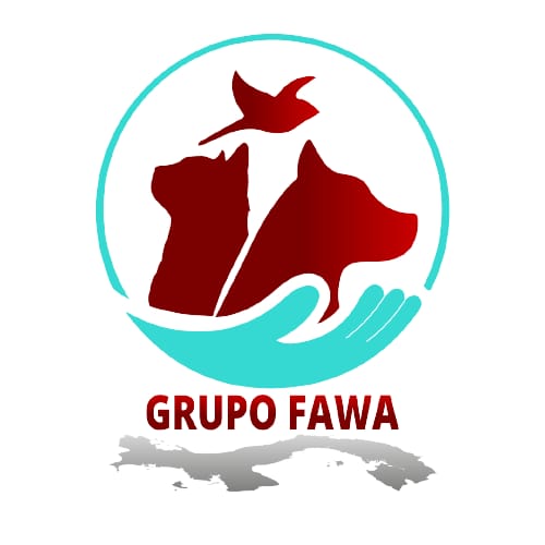 Admin Logo